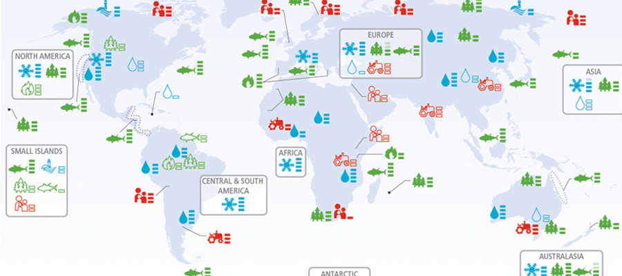 réchauffement climatique