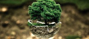 Écologie