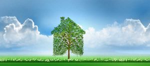 ressources naturelles