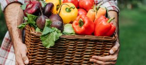 Fruits et légumes bio
